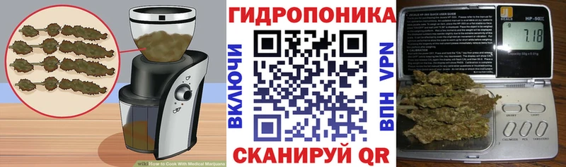 omg сайт Алексеевка Canna-Cookies конопля