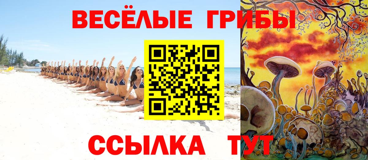 Галлюциногенные грибы MAGIC MUSHROOMS Алексеевка